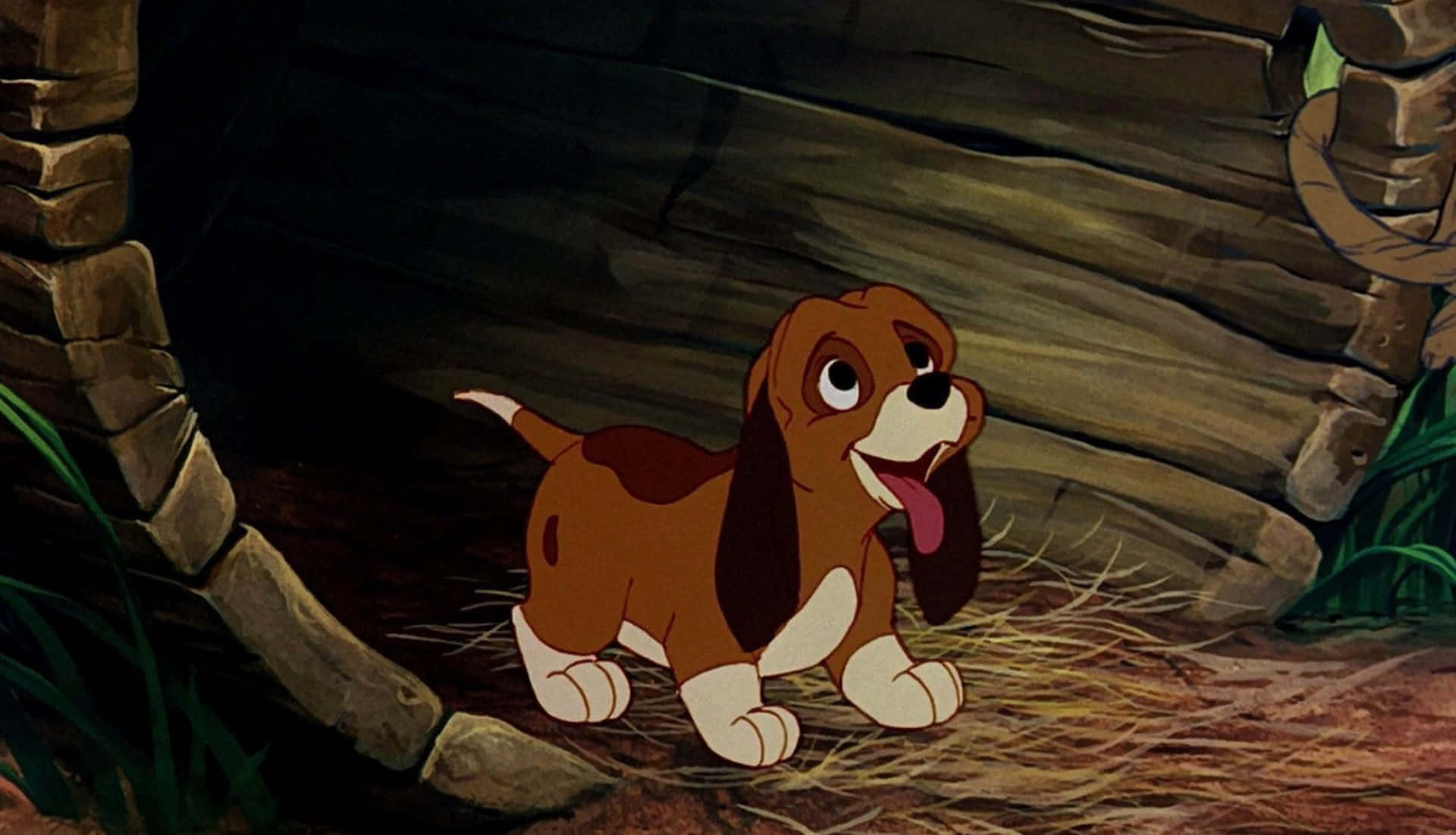 The Fox and The Hound, beagle puppy, brown and white fur, Full HD Desktop Wallpaper