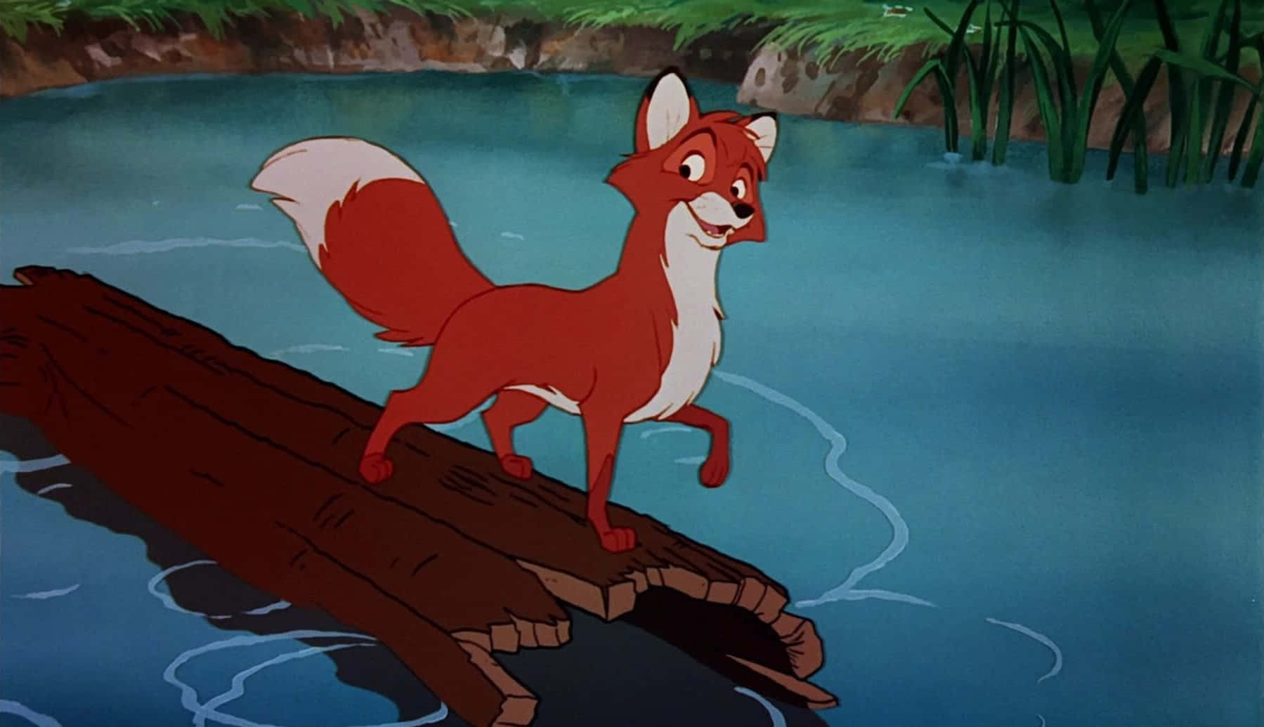 The Fox and the Hound, red fox, white-tipped tail, HD Desktop Wallpaper