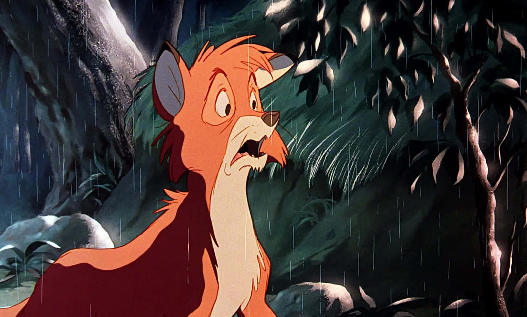 The fox and the hound, orange fox, dark rain-soaked forest, HD Desktop Wallpaper