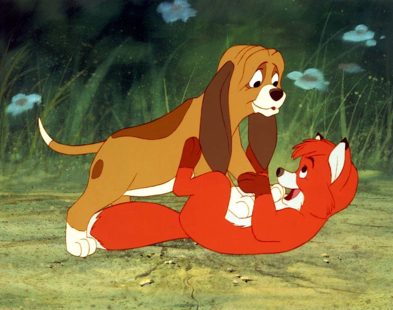 The Fox and the Hound, basset hound, red fox, SD Desktop Wallpaper