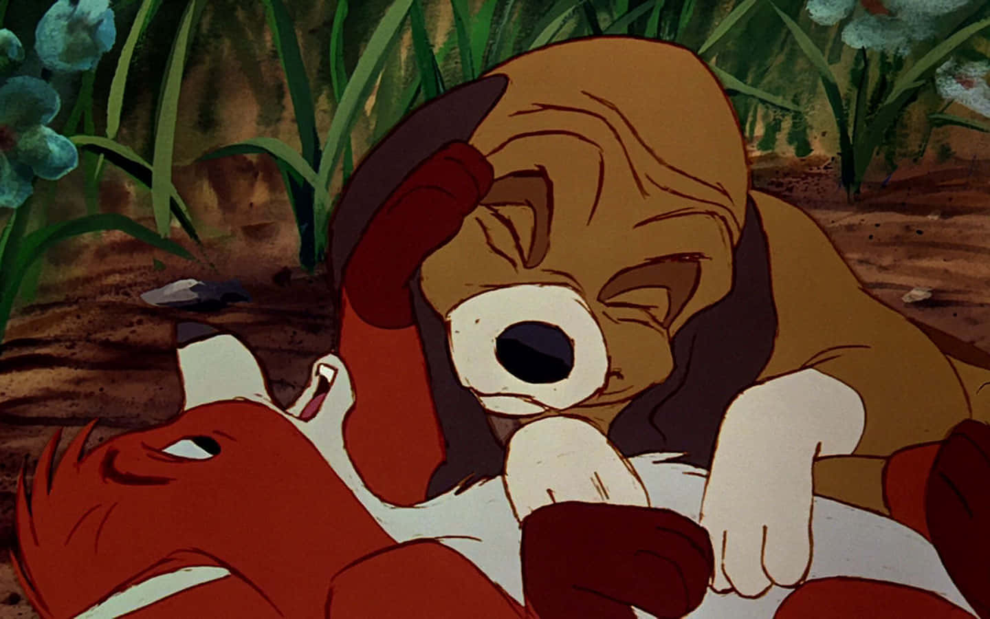 The Fox and the Hound, beagle puppy, red fox, HD Desktop Wallpaper