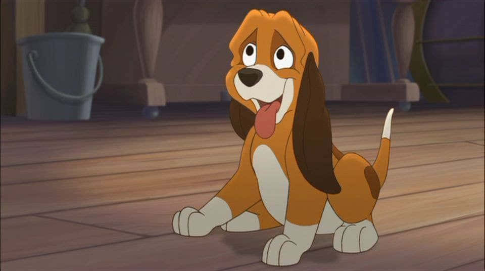 The fox and the hound, beagle puppy, floppy ears, SD Desktop Wallpaper