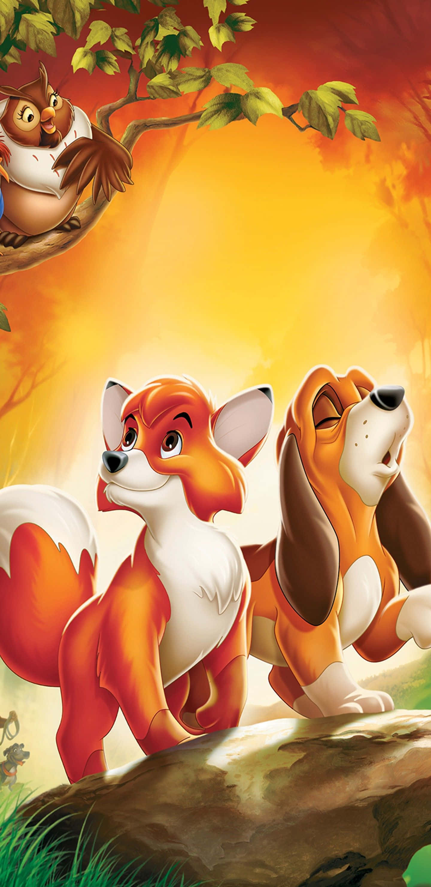 The fox and the hound, golden sunset, rock, 2K Phone Wallpaper