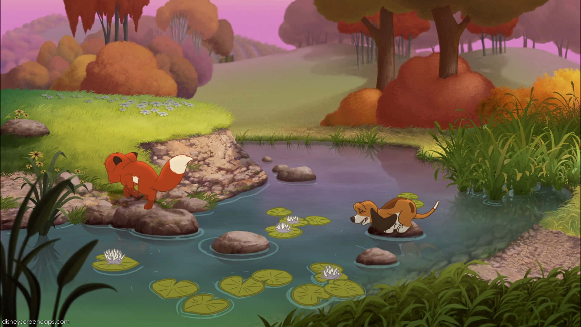 The Fox and the Hound, red fox, beagle, Full HD Desktop Wallpaper