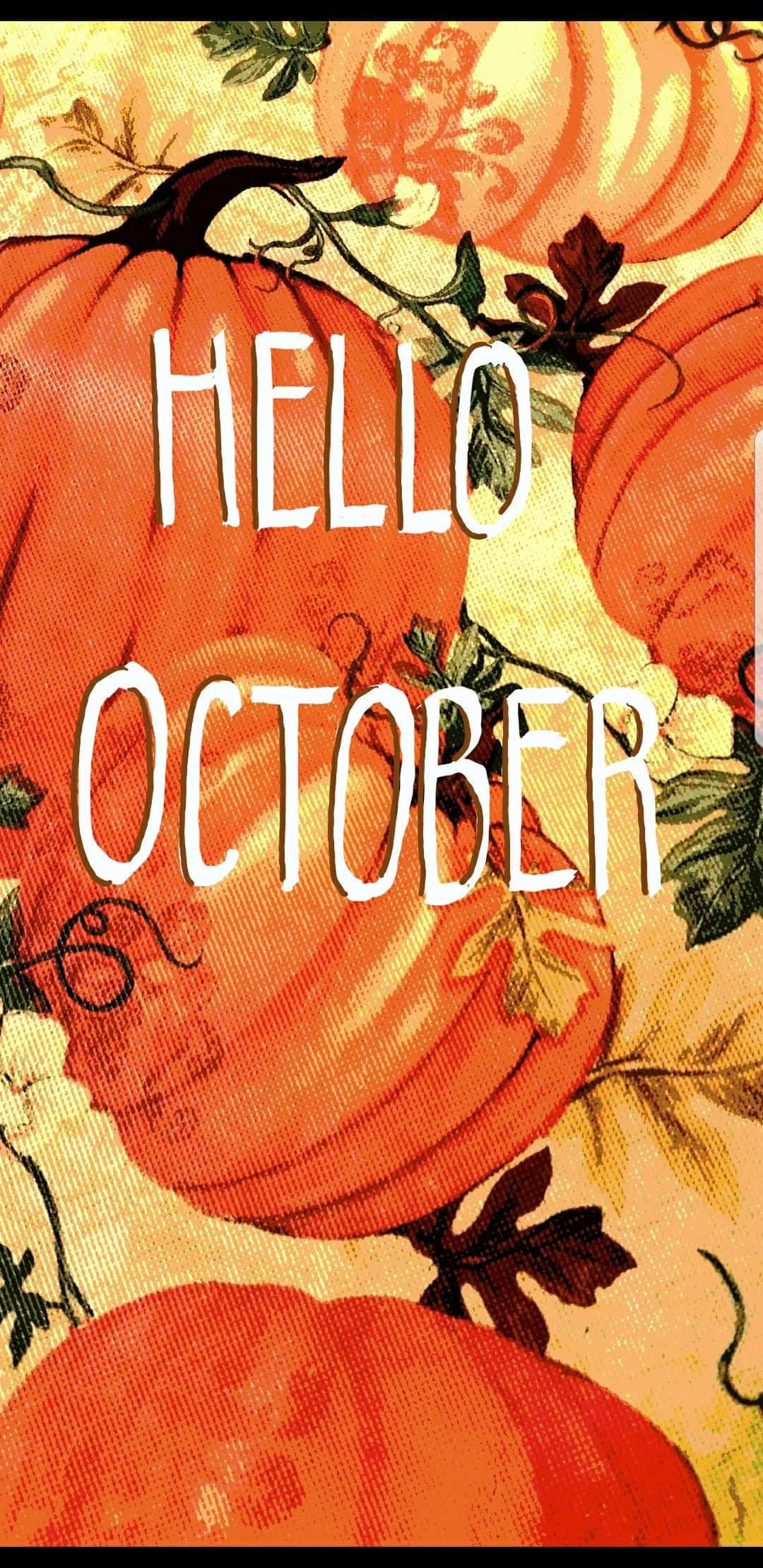 hello october, pumpkin, vibrant orange, Full HD Phone Wallpaper