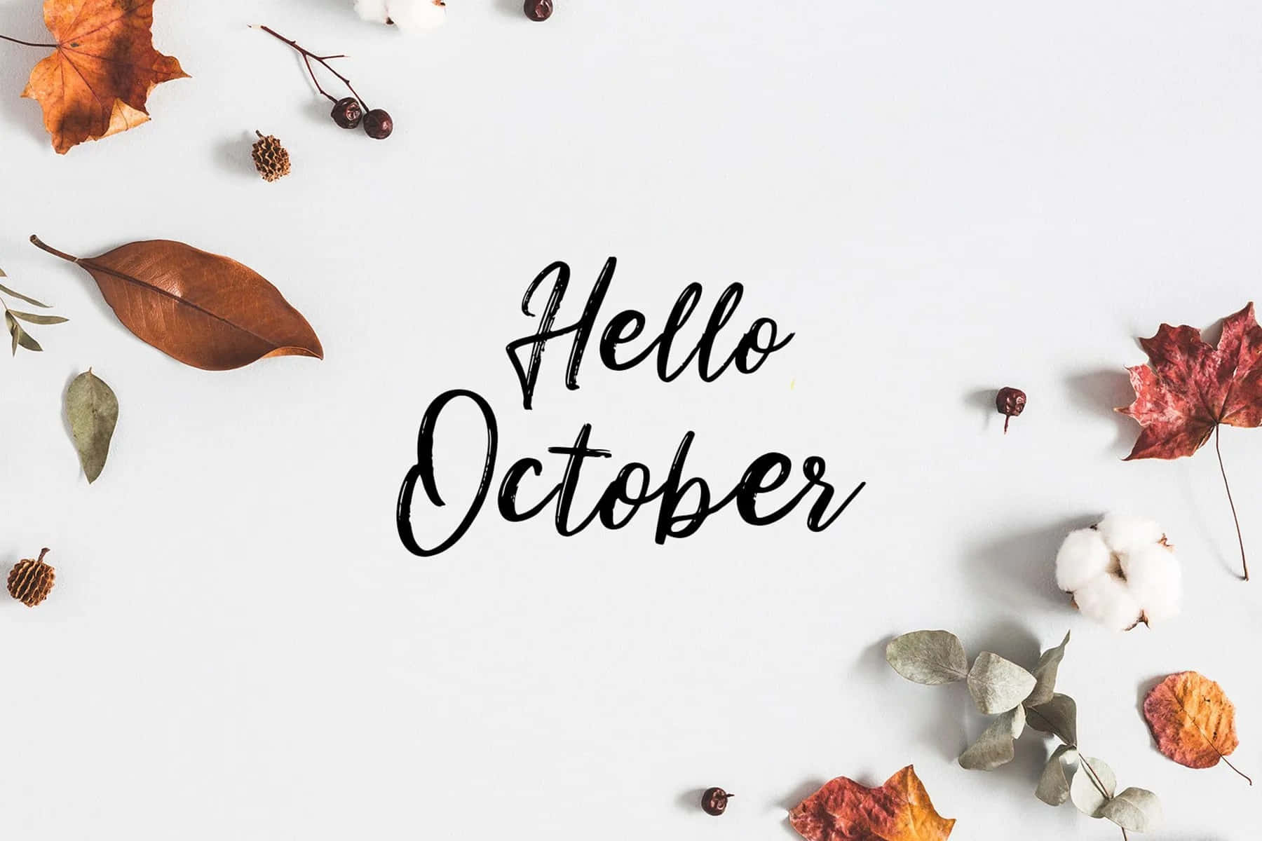 Hello October, pumpkin spice latte, autumn leaves, HD Desktop Wallpaper