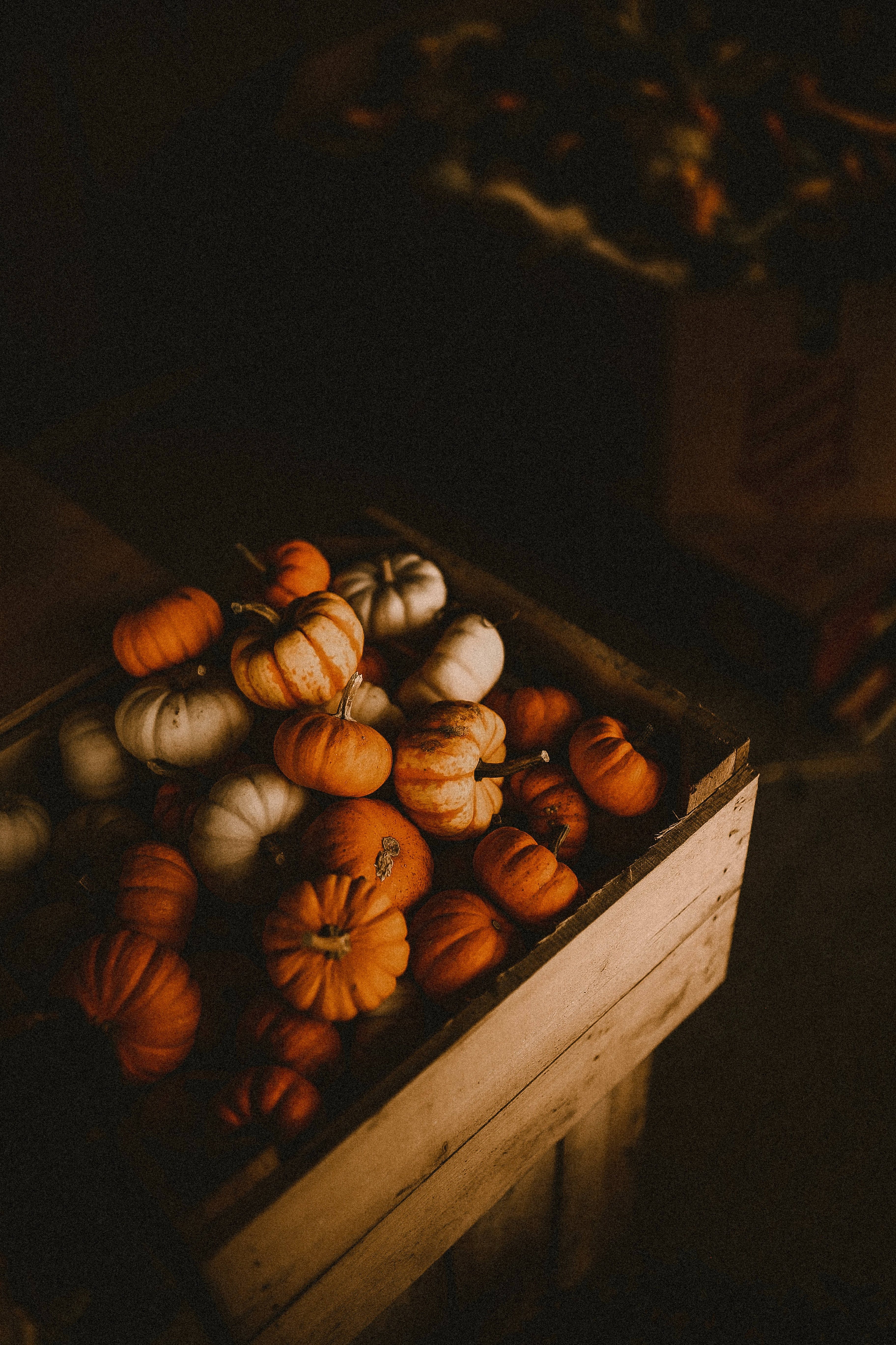 wooden box, pumpkins, orange, 5K Phone Wallpaper
