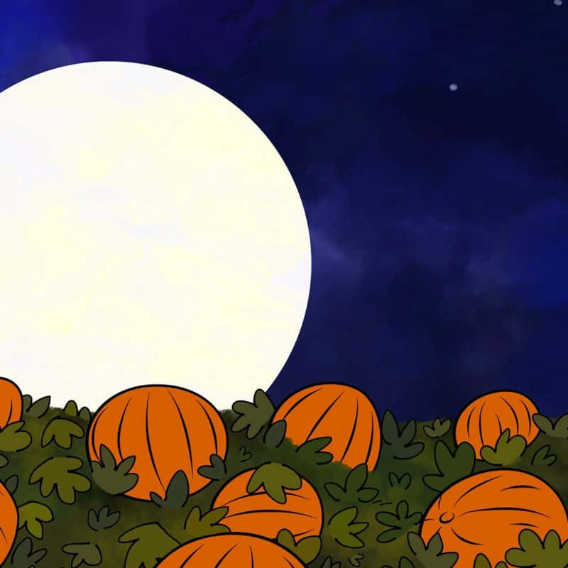 The Great Pumpkin, orange pumpkins, giant full moon, SD Desktop Wallpaper