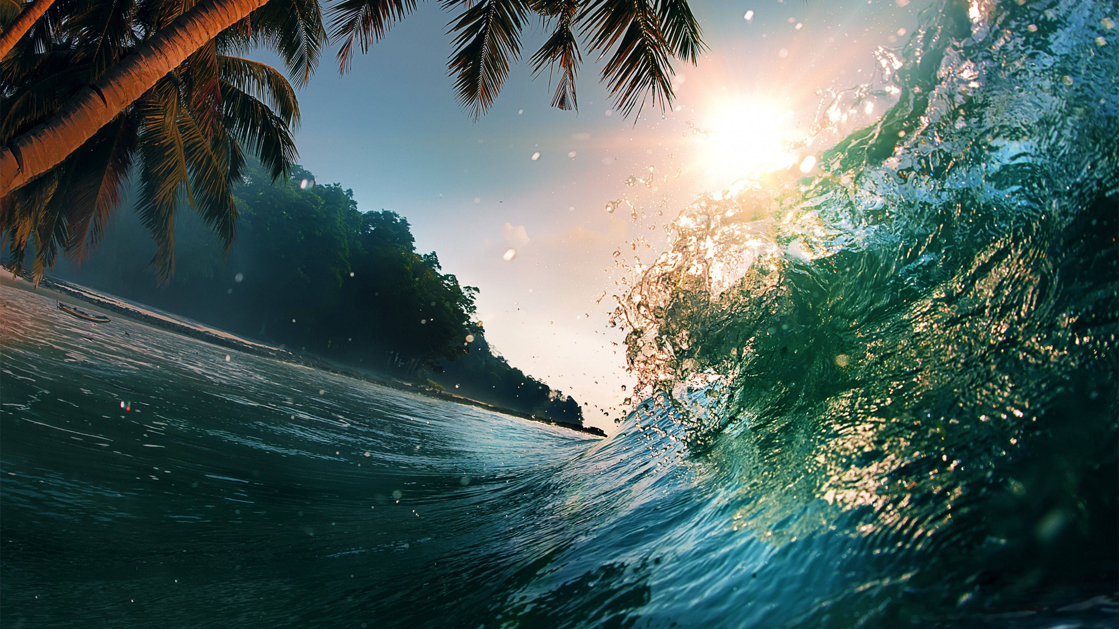 Wave On Island With Coconut, tropical shore, golden hour, 4K Desktop Wallpaper