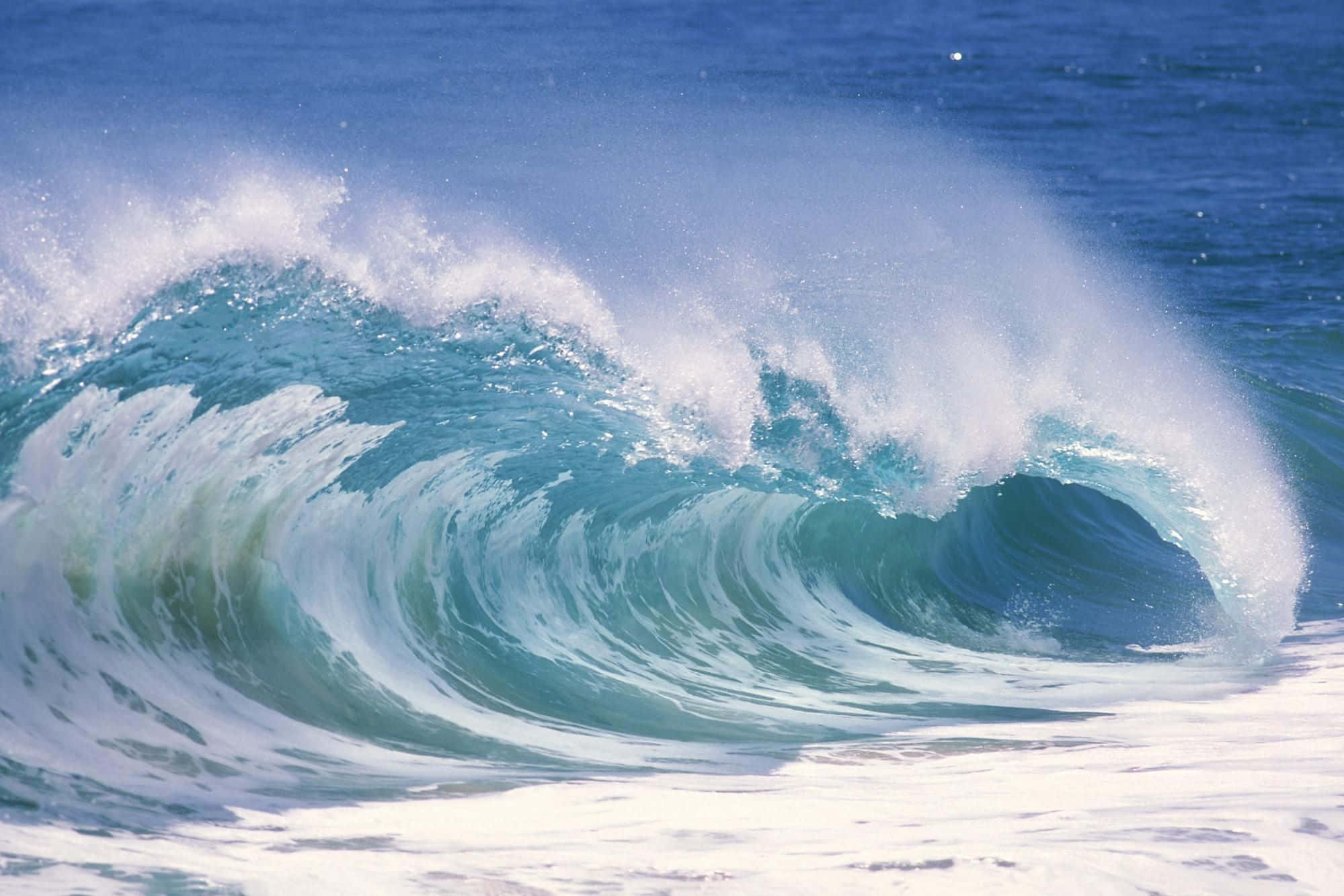 Majestic Ocean Wave, turquoise ocean wave, white foam, Full HD Desktop Wallpaper