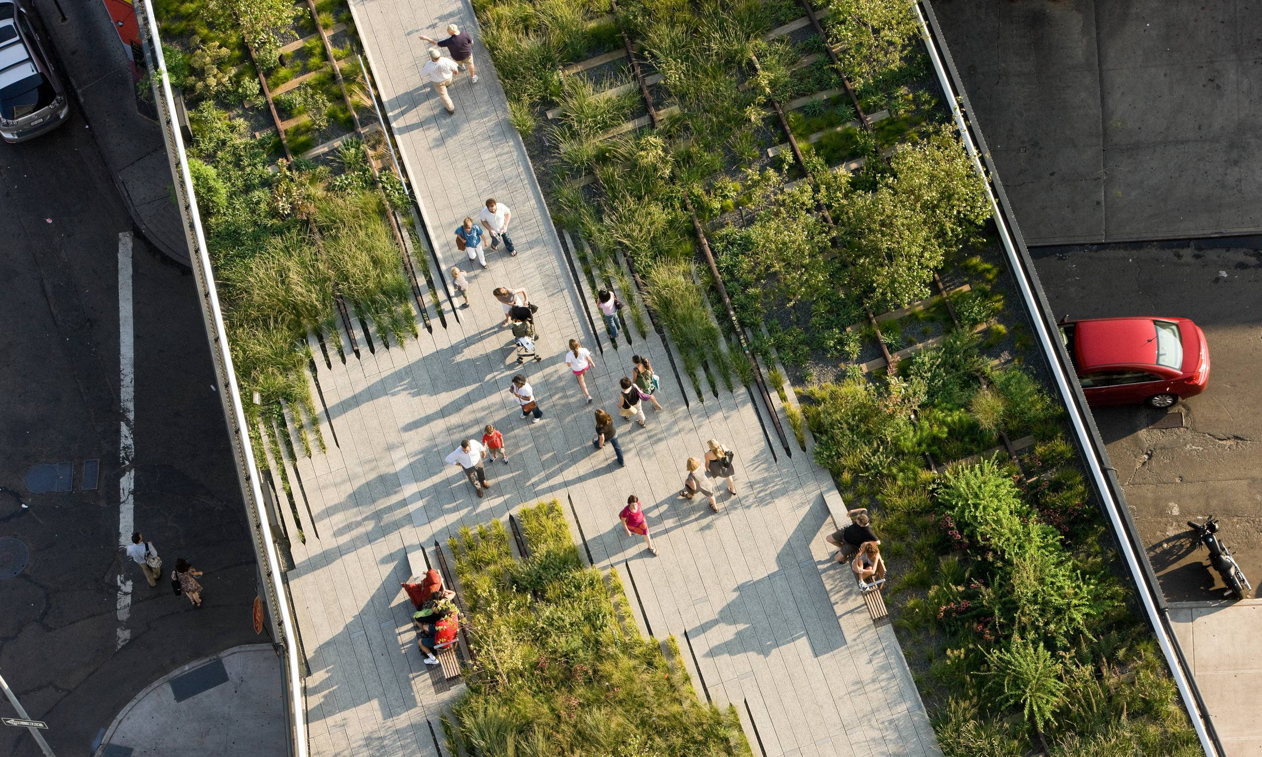 The High Line, rooftop garden, trees, Full HD Desktop Wallpaper