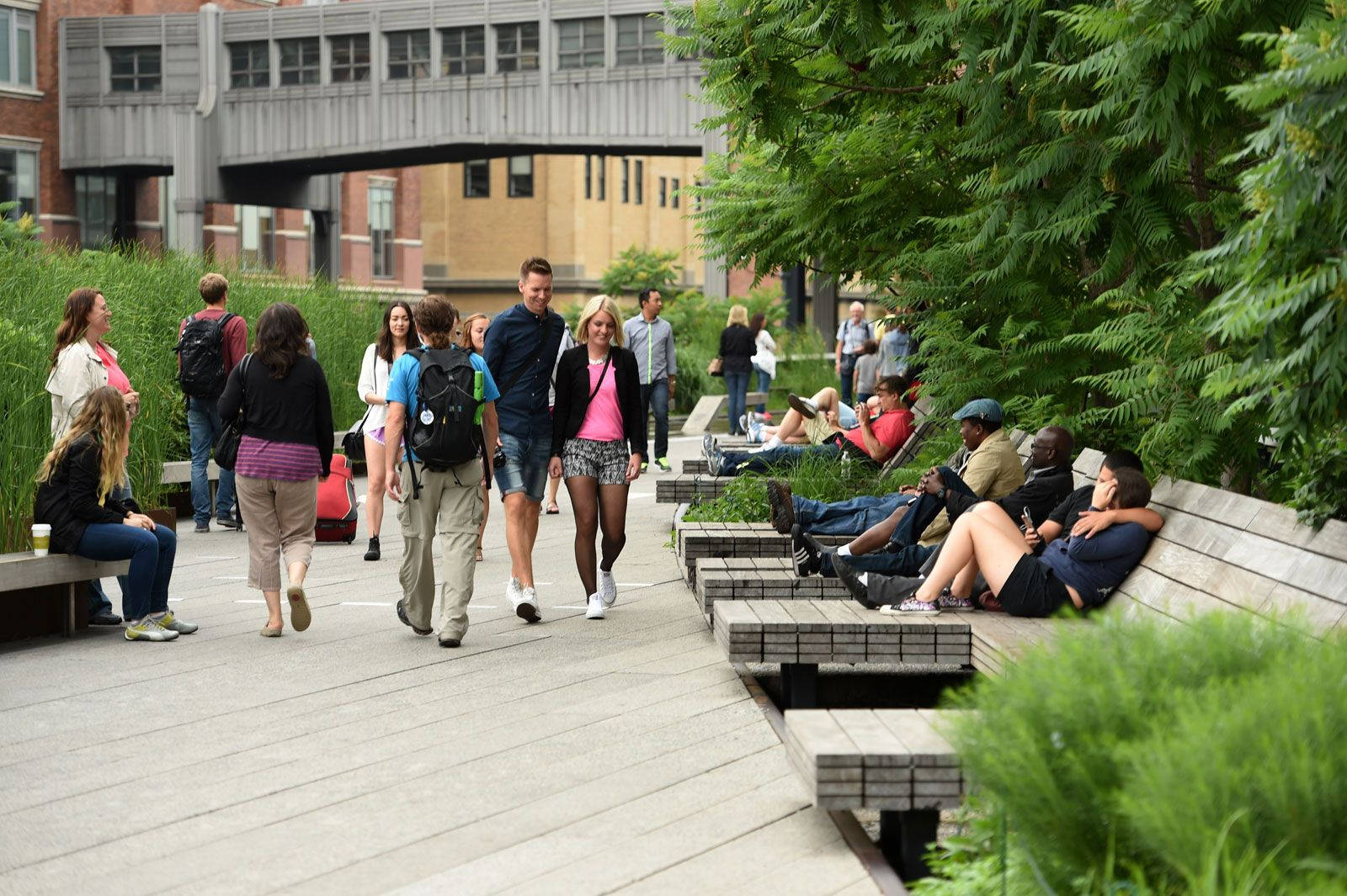 The High Line, wooden benches, lush greenery, HD Desktop Wallpaper