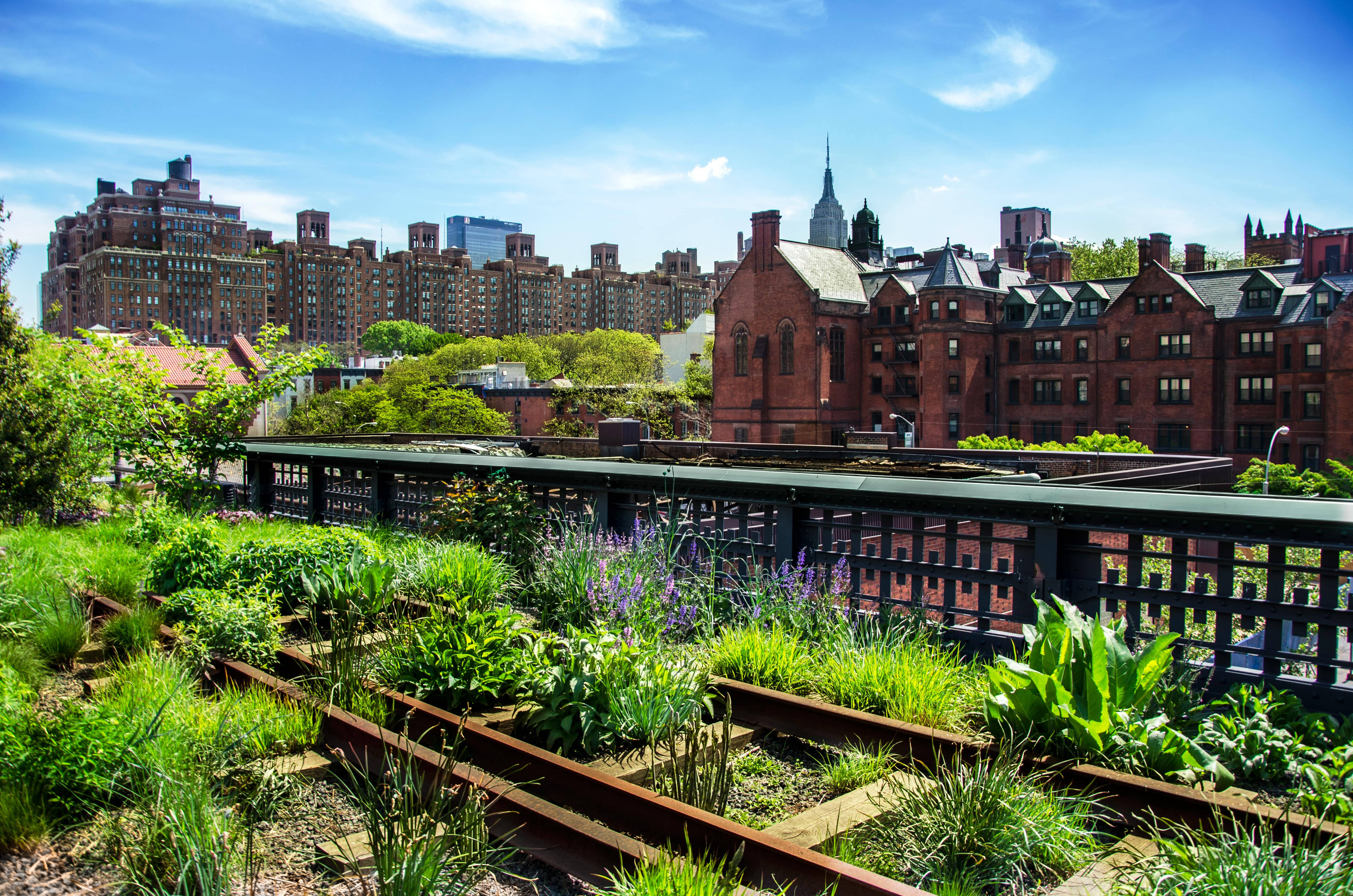 The High Line, rooftop garden, lush greenery, 4K Desktop Wallpaper