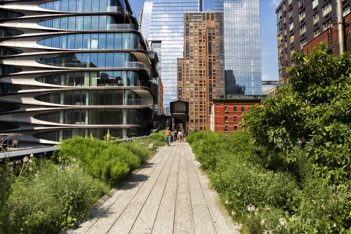 The High Line, wooden path, lush greenery, SD Desktop Wallpaper