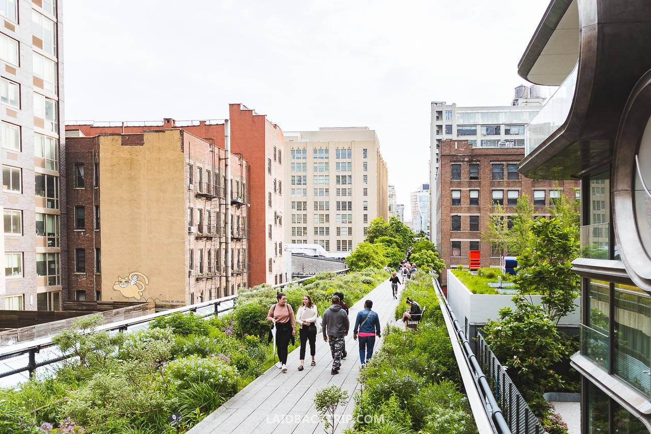 The High Line, elevated park, urban buildings, HD Desktop Wallpaper