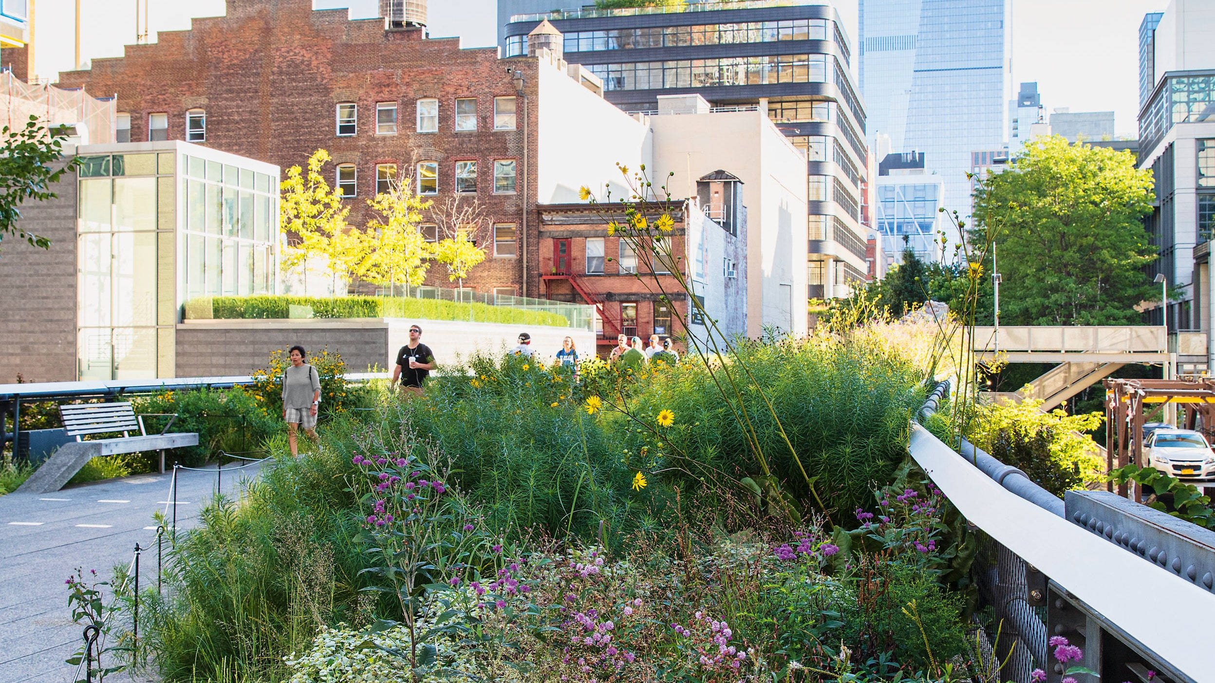 The High Line, rooftop garden, wildflowers, Full HD Desktop Wallpaper