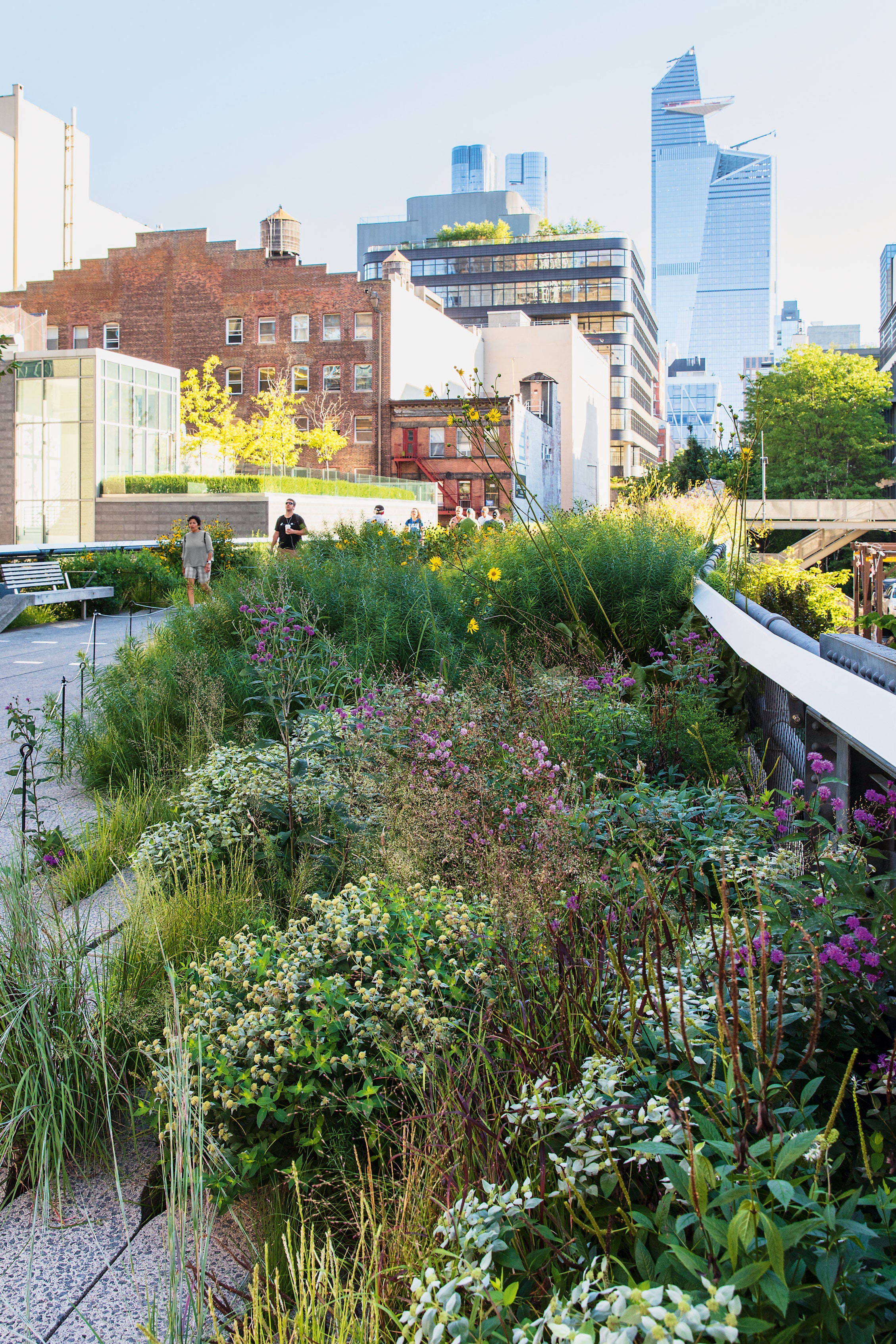 High Line, rooftop garden, wildflowers, 2K Phone Wallpaper