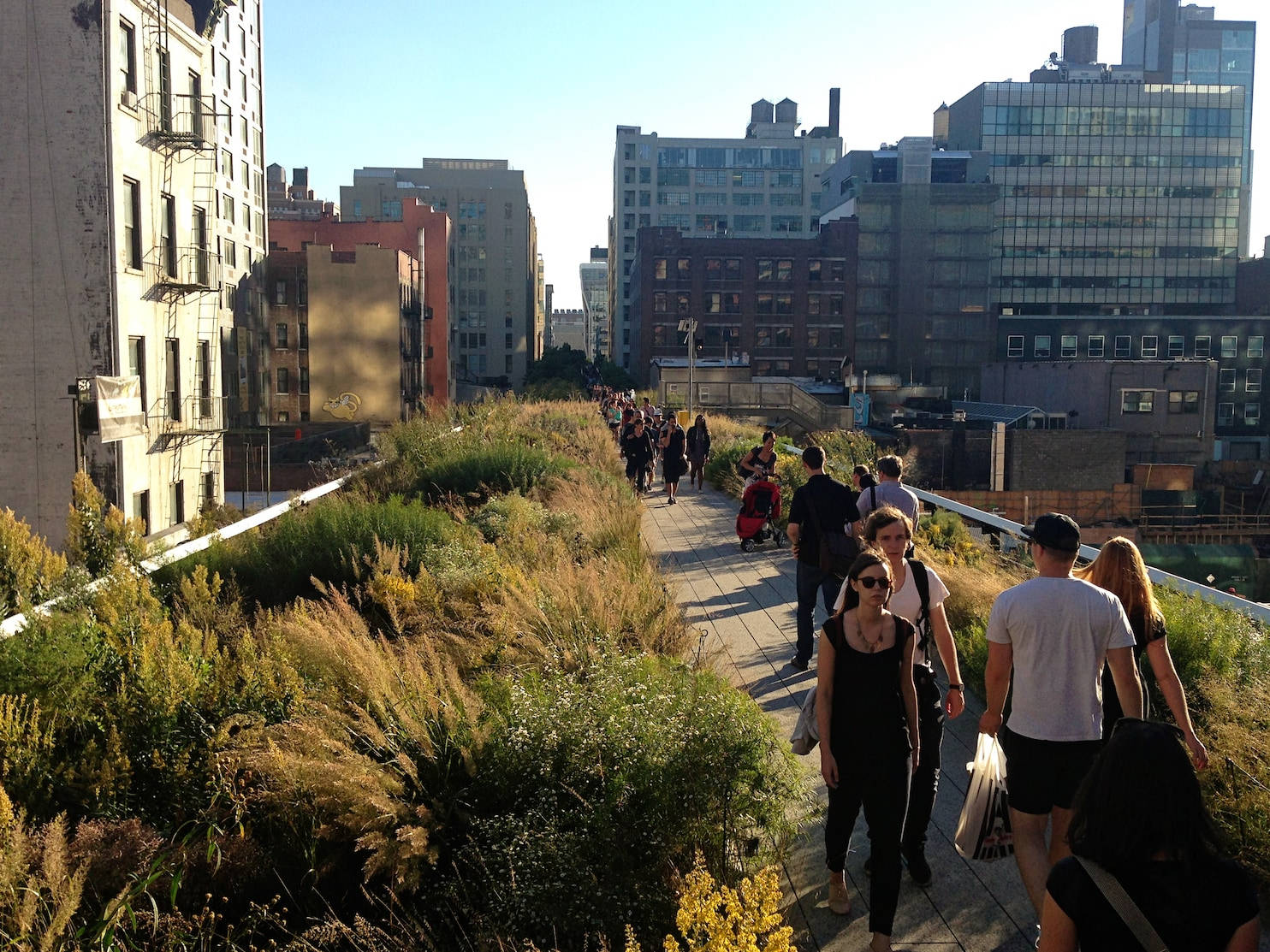 The High Line, sunny weather, elevated green walkway, HD Desktop Wallpaper