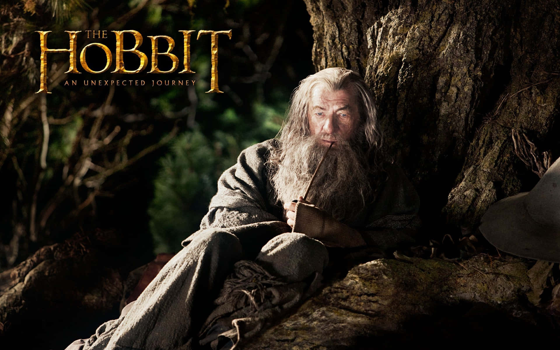 The Hobbit, wizard, bearded man, Full HD Desktop Wallpaper