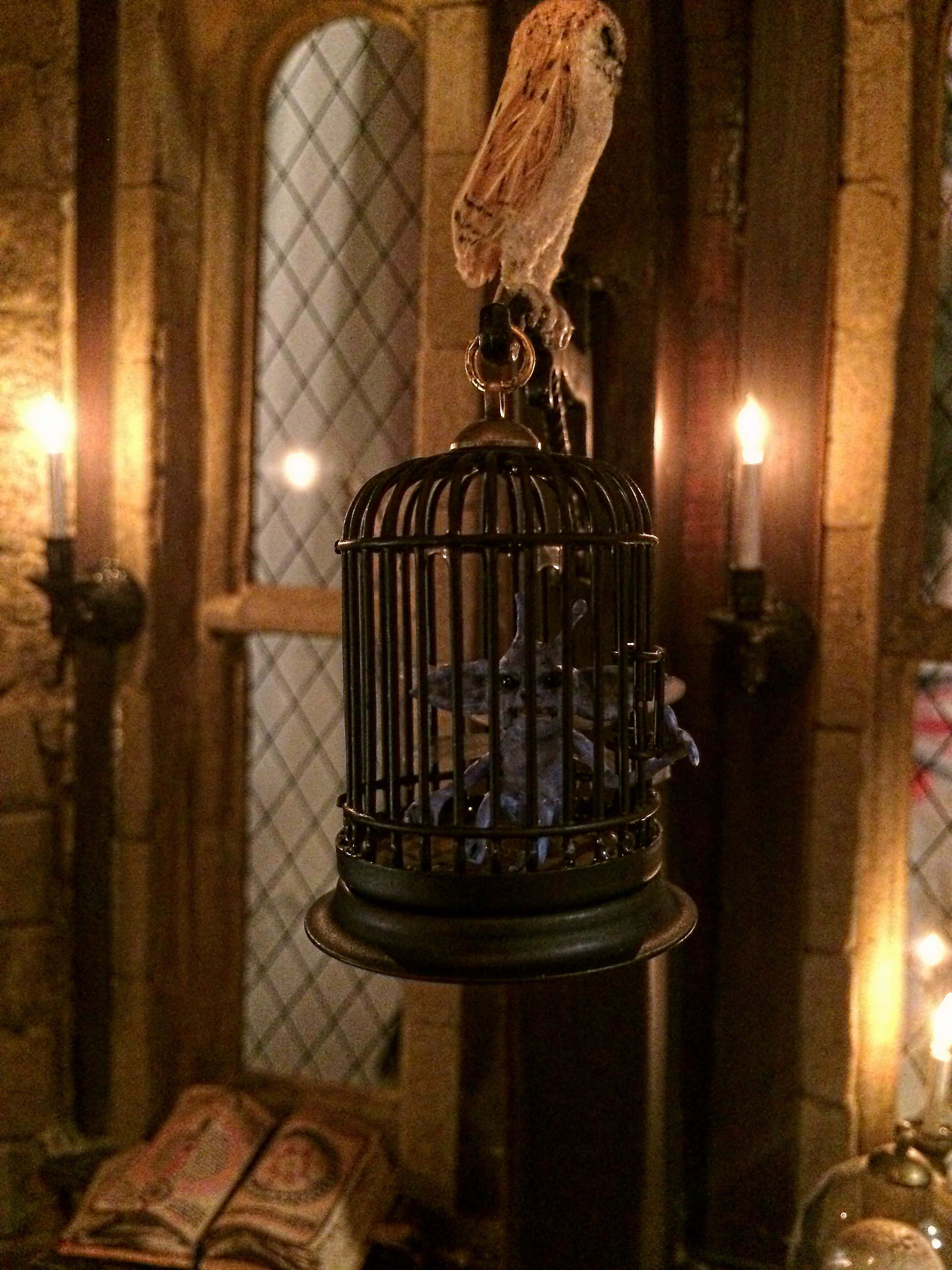 Hogwarts Dark Arts Classroom, taxidermied owl, hanging birdcage, 2K Phone Wallpaper
