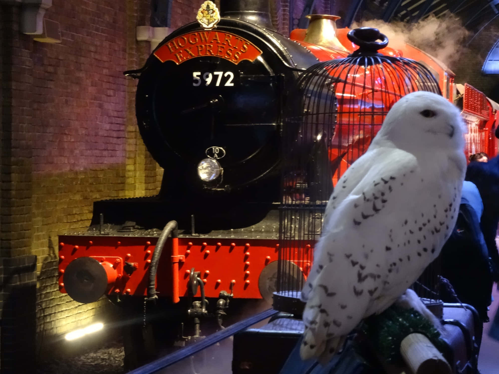 Hogwarts Express Train, snowy owl, steam train, Full HD Desktop Wallpaper