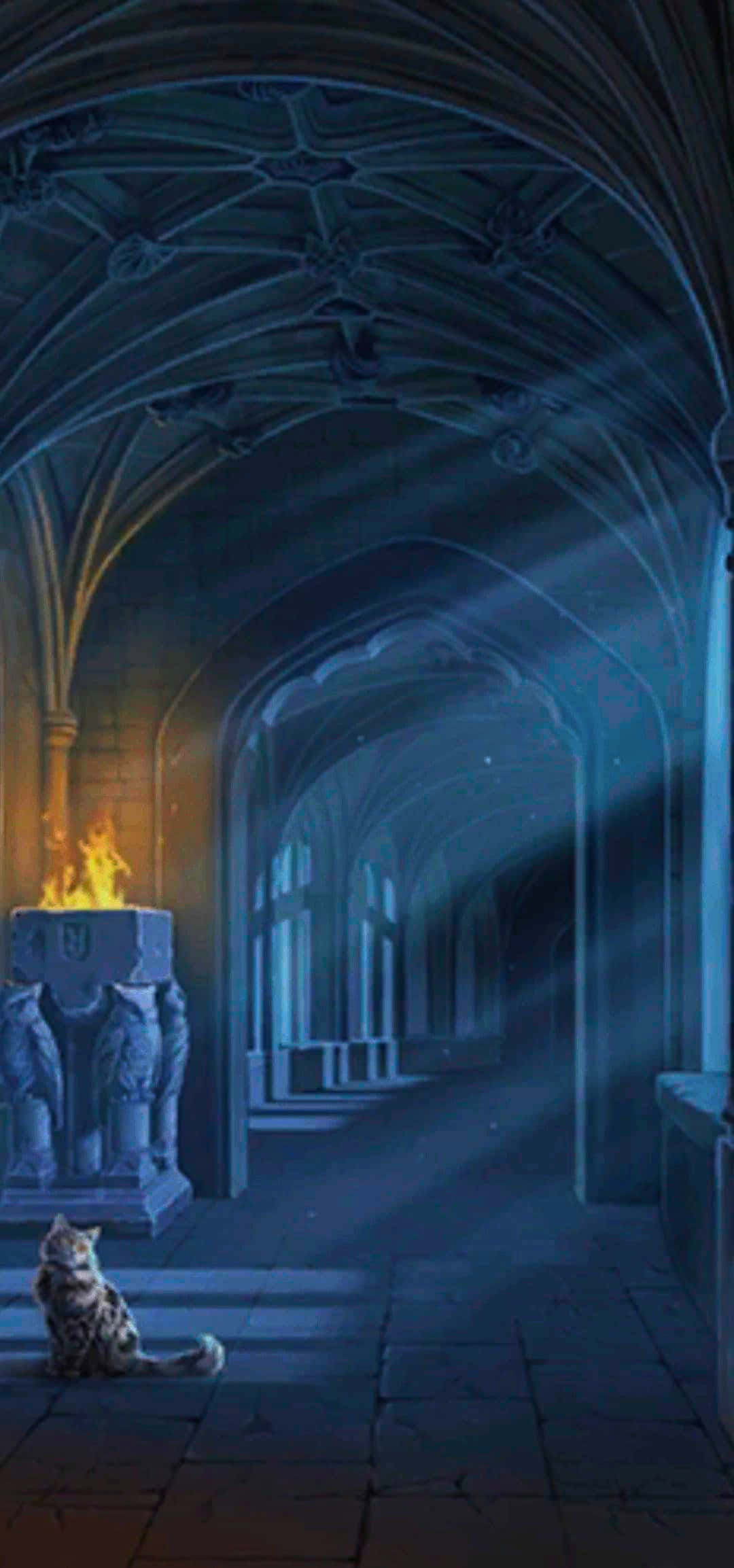 The Hogwarts Forbidden Corridor, tabby cat, dim gothic corridor, Full HD Phone Wallpaper