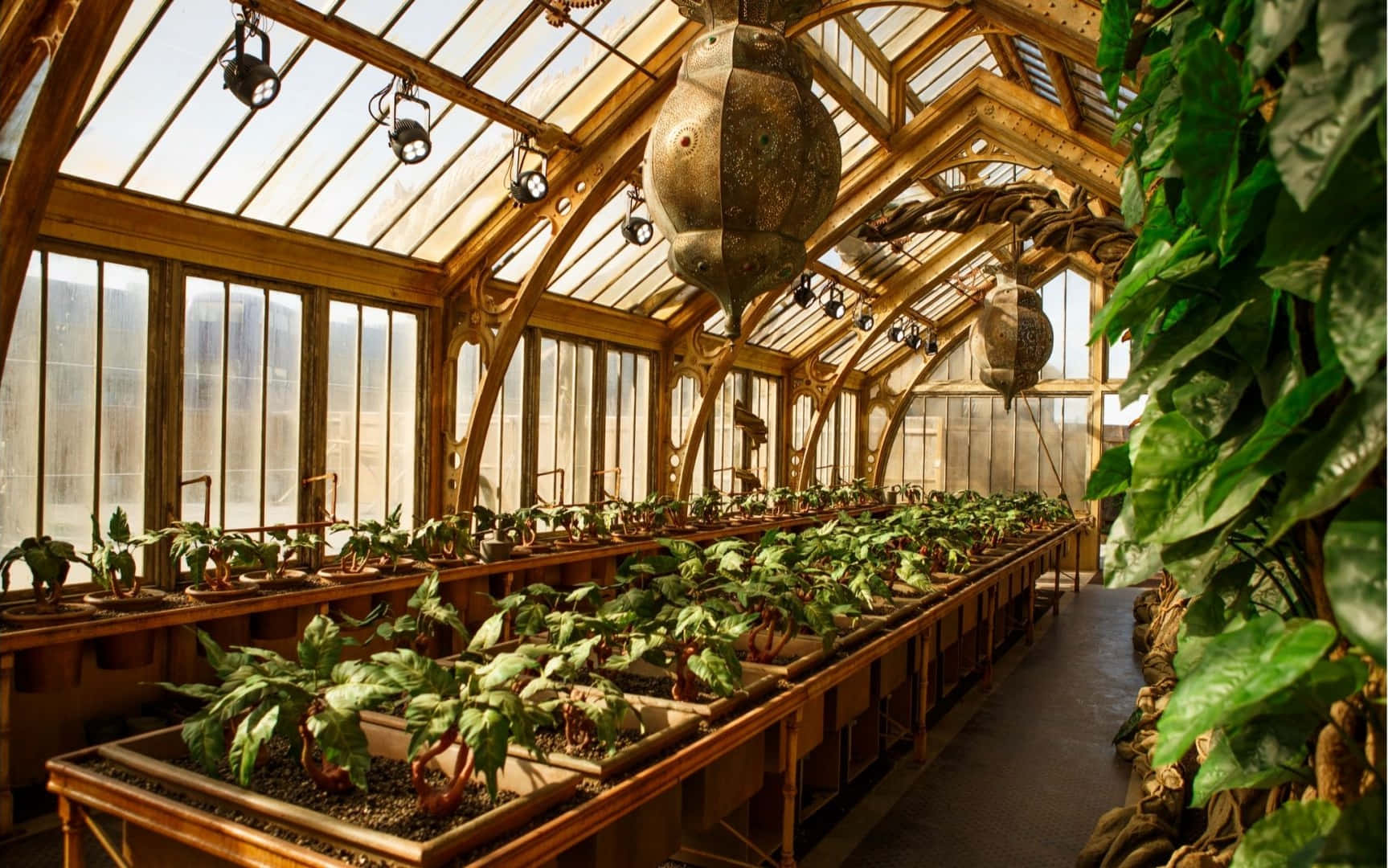 The Hogwarts Greenhouses, Hogwarts, greenhouse, HD Desktop Wallpaper