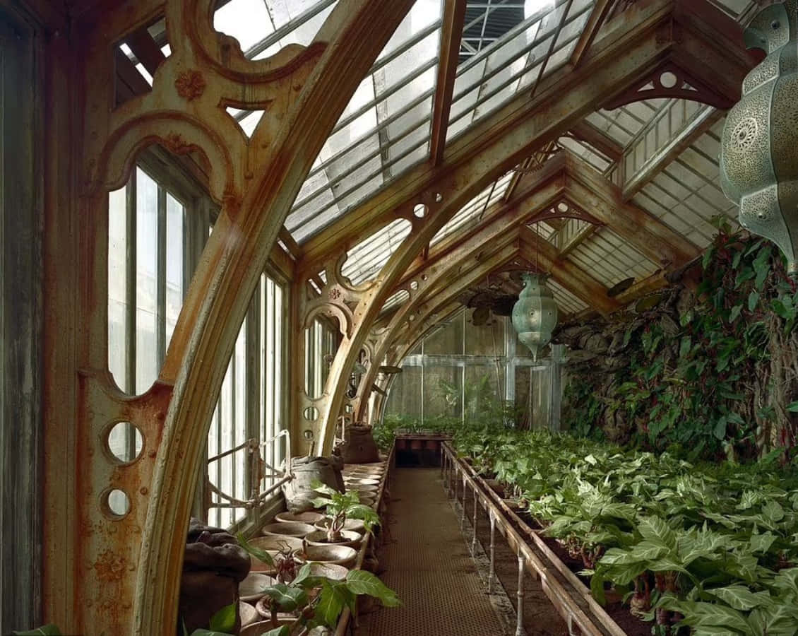 The Hogwarts Greenhouses, rusty iron arches, glass roof, SD Desktop Wallpaper