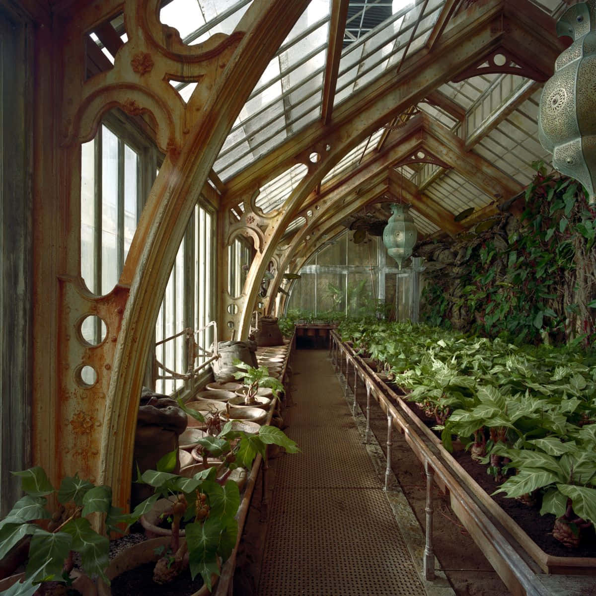 The Hogwarts Greenhouses, rusty iron arches, glass roof, SD Desktop Wallpaper