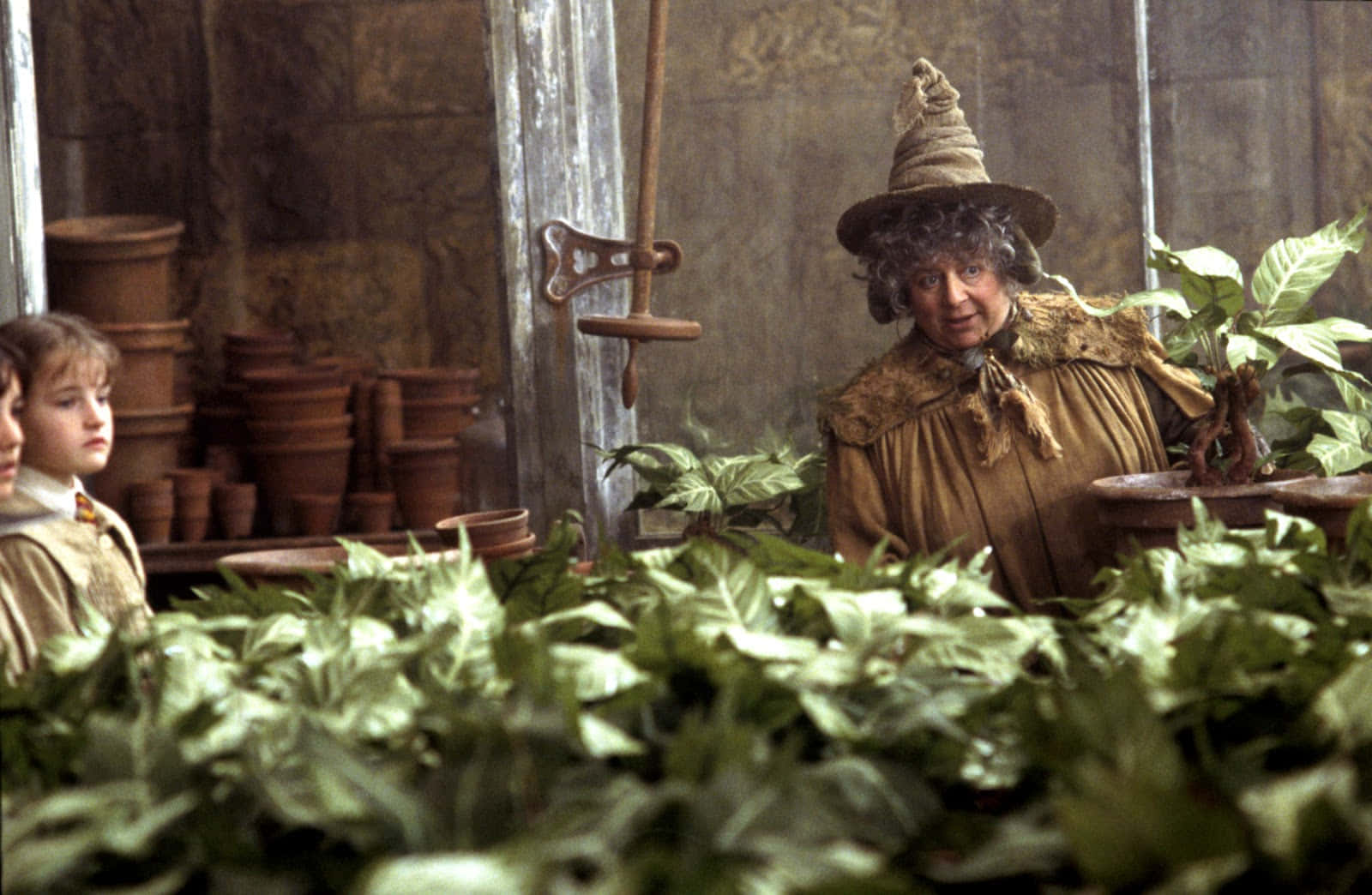 The Hogwarts Greenhouses, elderly witch, pointed hat, HD Desktop Wallpaper