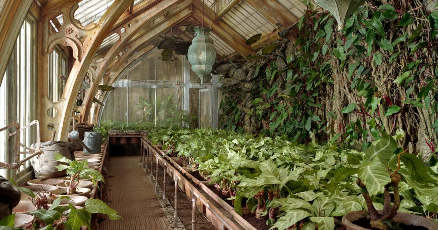 The Hogwarts Greenhouses, Victorian greenhouse, arched glass windows, HD Desktop Wallpaper