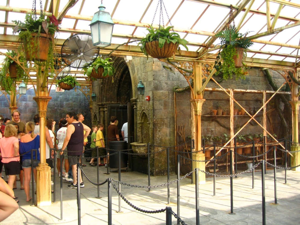 The Hogwarts Greenhouses, glass roof, hanging plants, SD Desktop Wallpaper