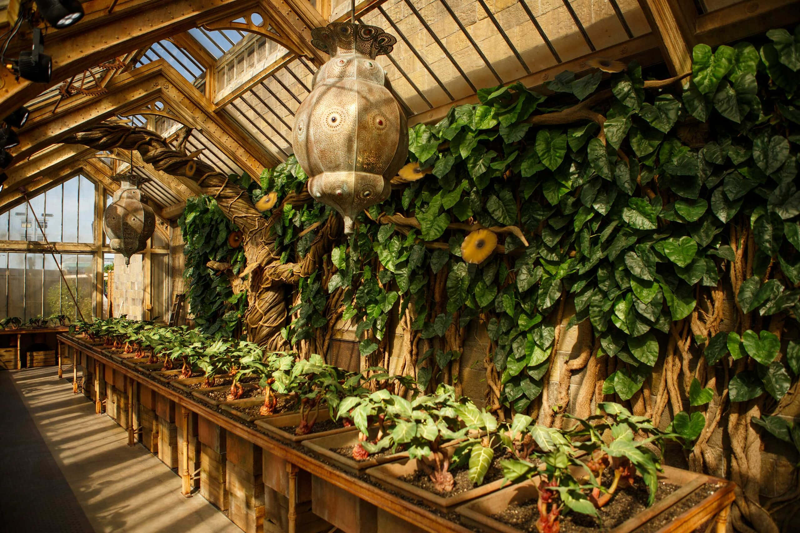 The Hogwarts Greenhouses, wooden greenhouse roof, lush green vines, 2K Desktop Wallpaper
