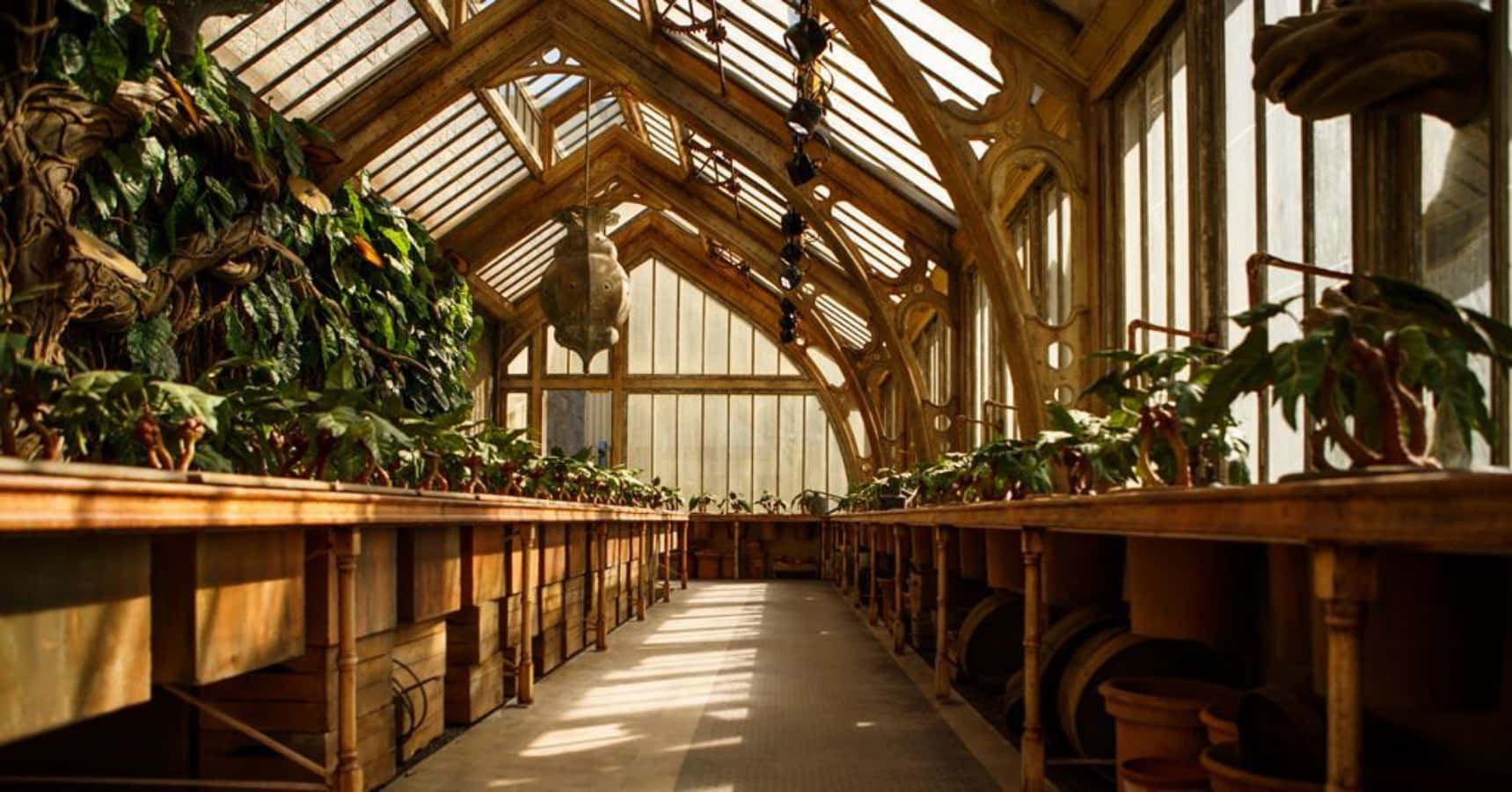 The Hogwarts Greenhouses, Hogwarts, wooden greenhouse, HD Desktop Wallpaper