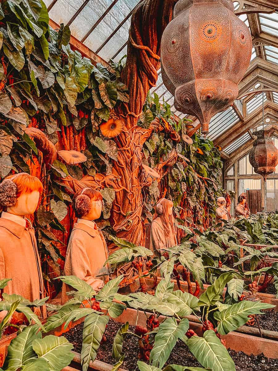 The Hogwarts Greenhouses, greenhouse, oversized plants, SD Phone Wallpaper