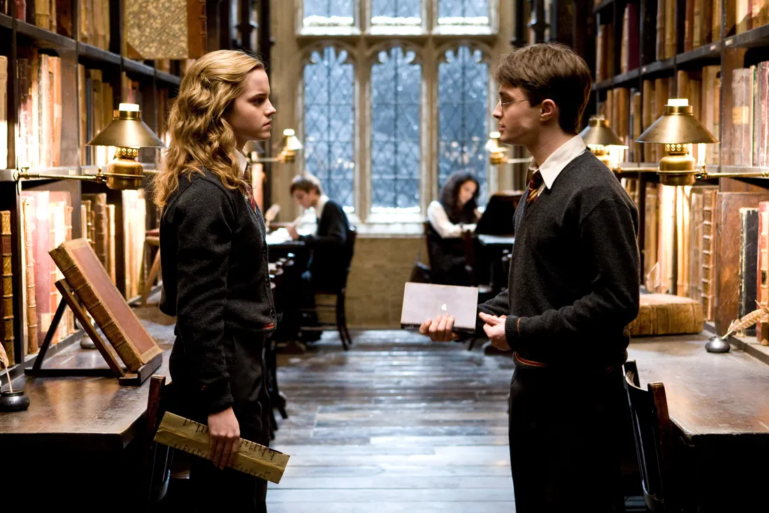 The Hogwarts Library