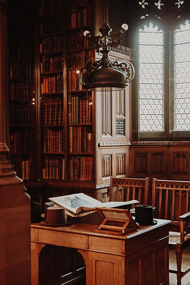 The Hogwarts Library, sunlit wooden study, tall bookshelves, SD Phone Wallpaper