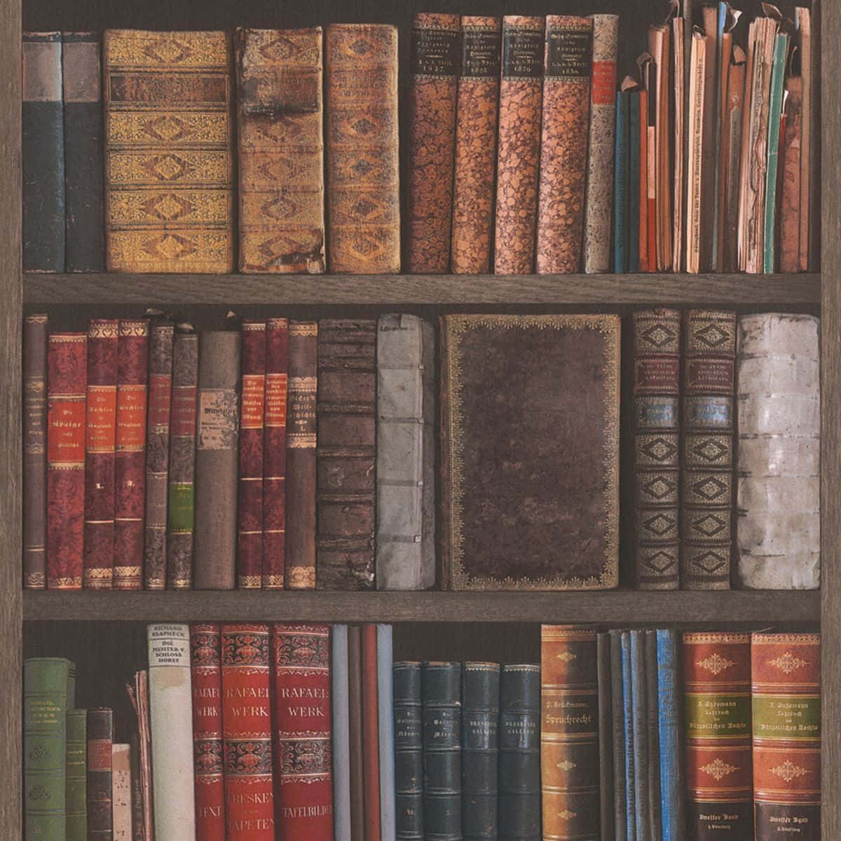 The Hogwarts Library, wooden bookshelf, vintage books, SD Desktop Wallpaper