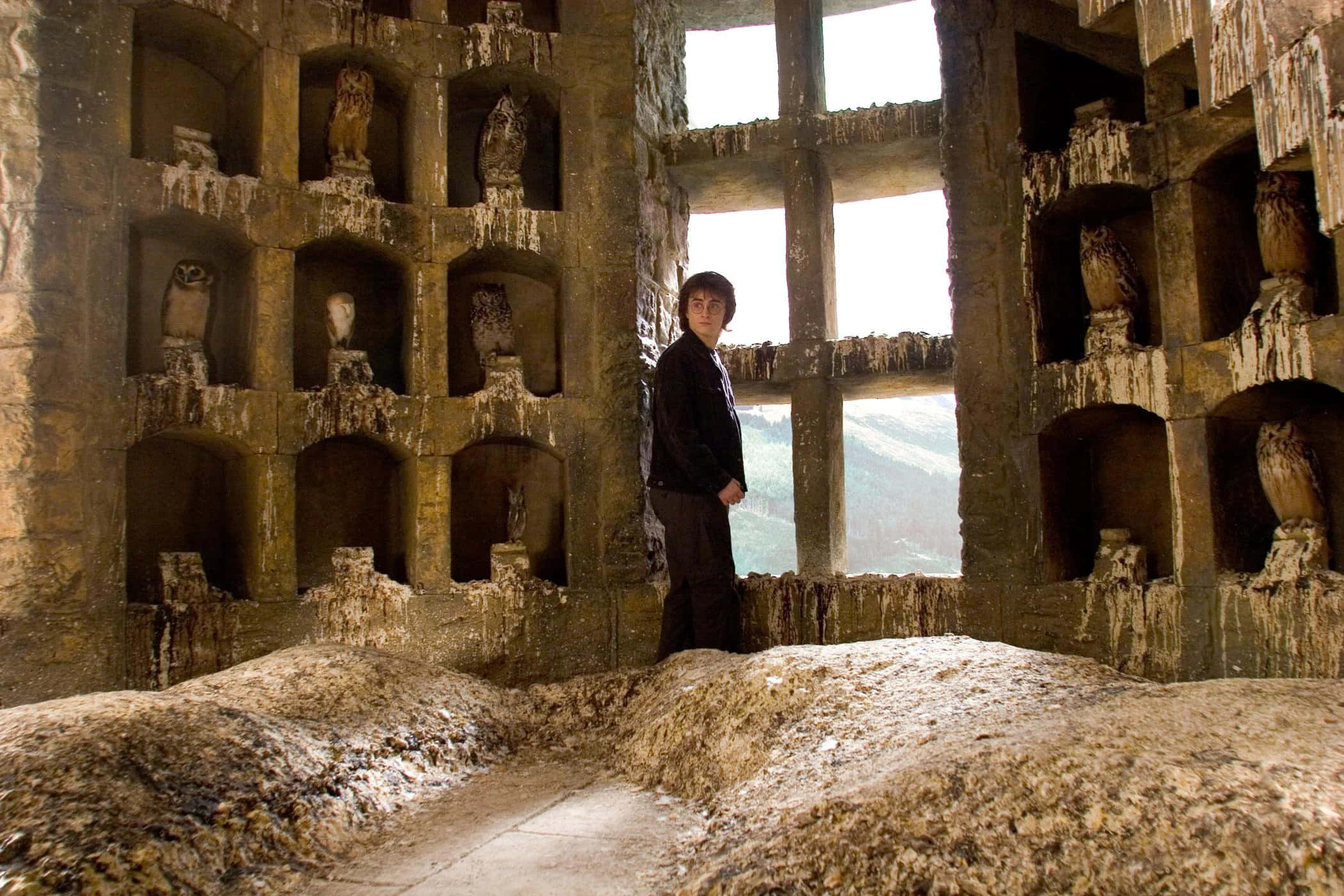 The Hogwarts Owlery, Hogwarts, owl statues, Full HD Desktop Wallpaper