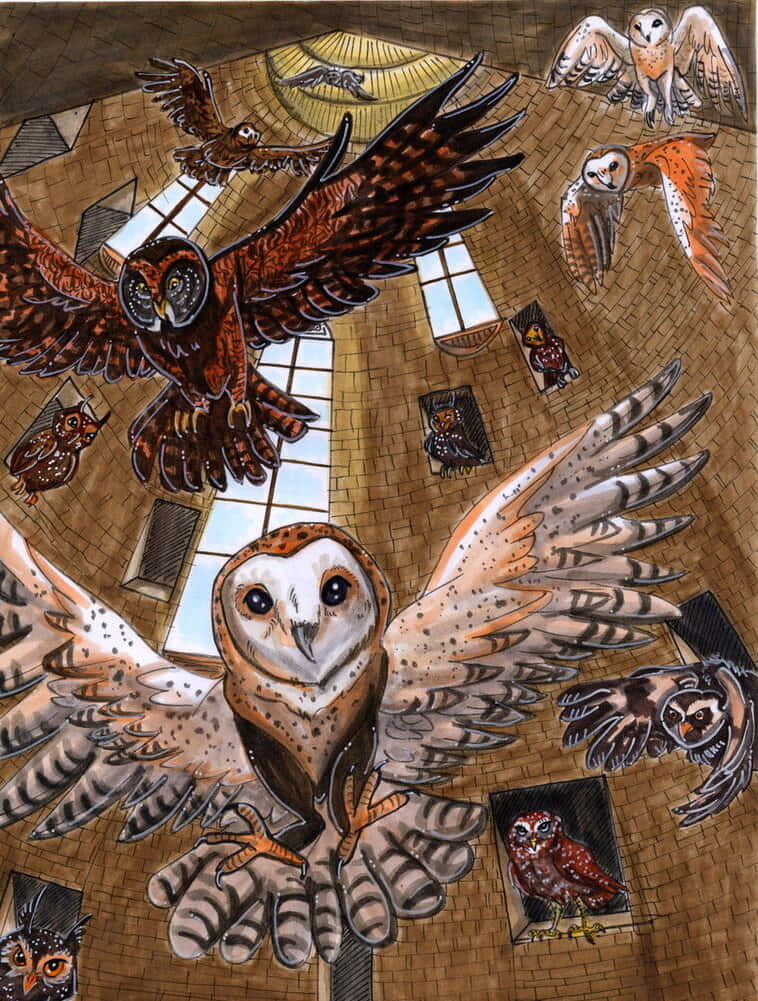 The Hogwarts Owlery, Hogwarts, owls, SD Phone Wallpaper