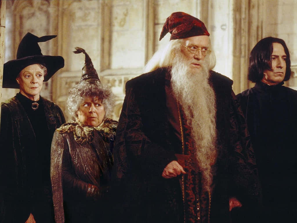 The Hogwarts Professors, Hogwarts, ornate robes, SD Desktop Wallpaper