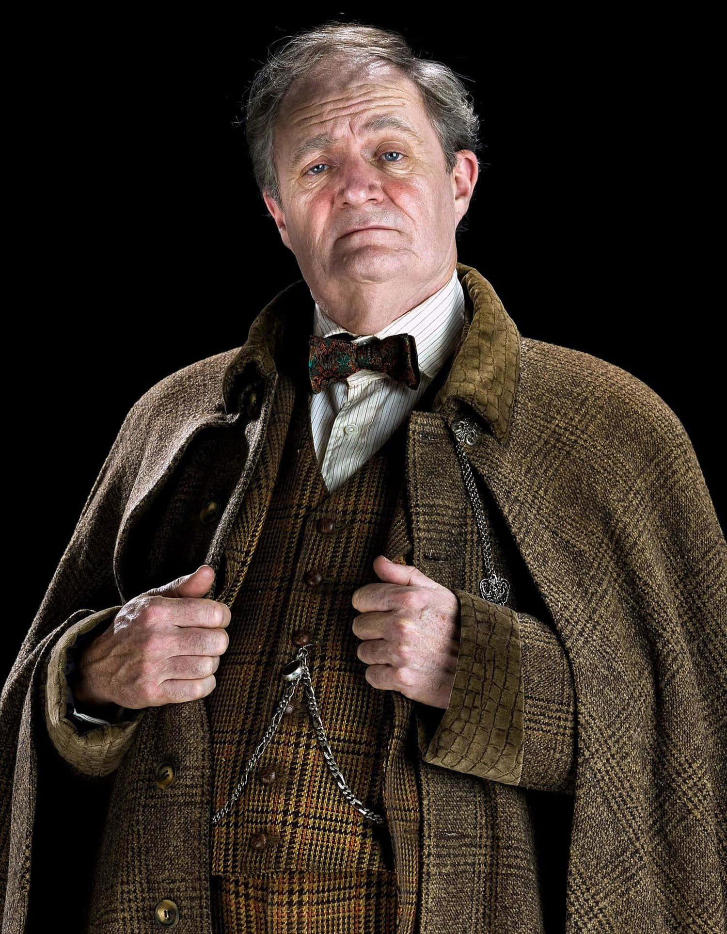 The Hogwarts Professors, brown tweed coat, bow tie, Full HD Phone Wallpaper
