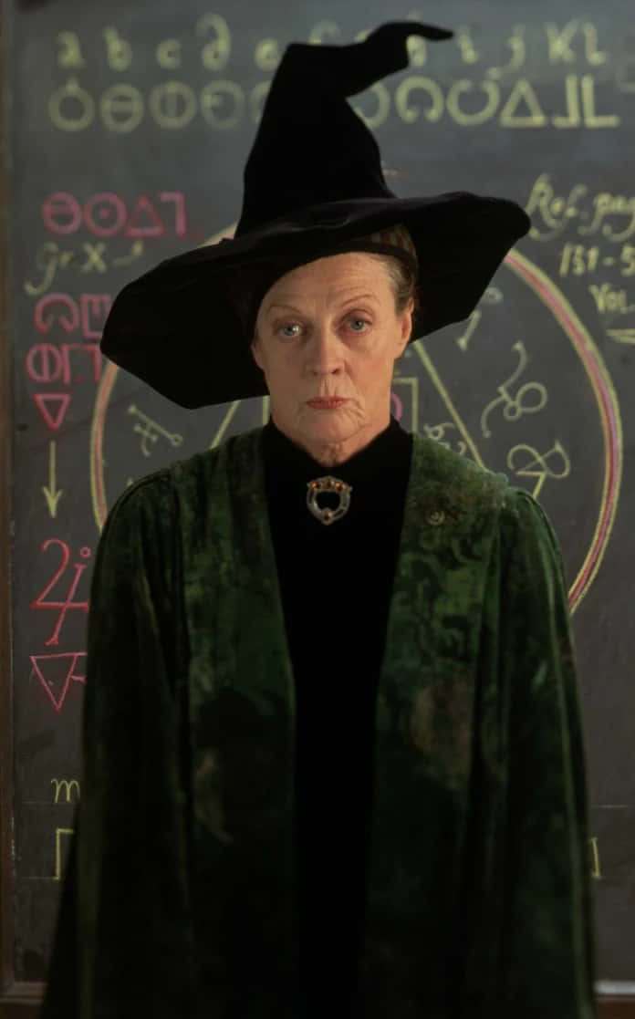 Hogwarts Professors, tall black hat, green robe, SD Phone Wallpaper