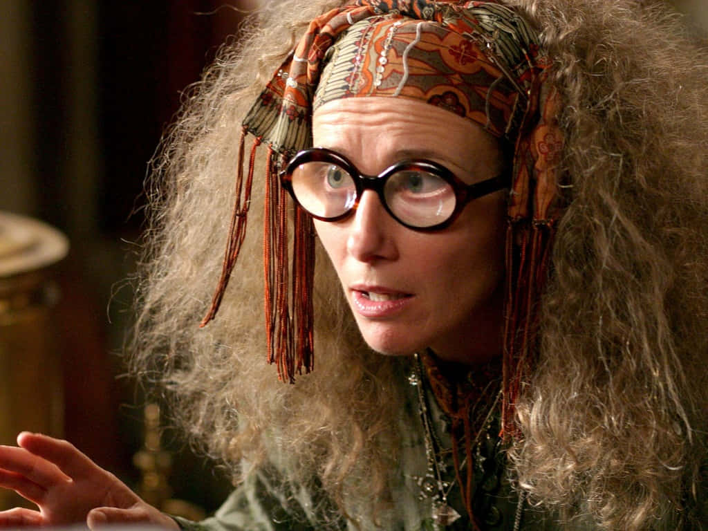 The Hogwarts Professors, wild curly hair, ornate headscarf, SD Desktop Wallpaper