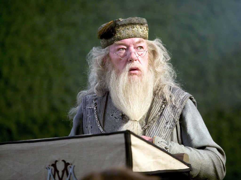 Hogwarts Professors, long white beard, round glasses, SD Desktop Wallpaper