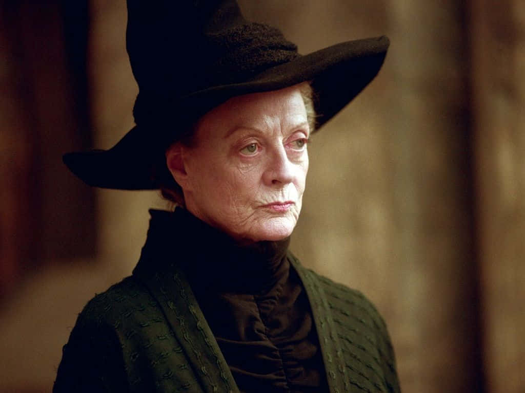 Hogwarts Professors, black witch's hat, dark green robe, SD Desktop Wallpaper