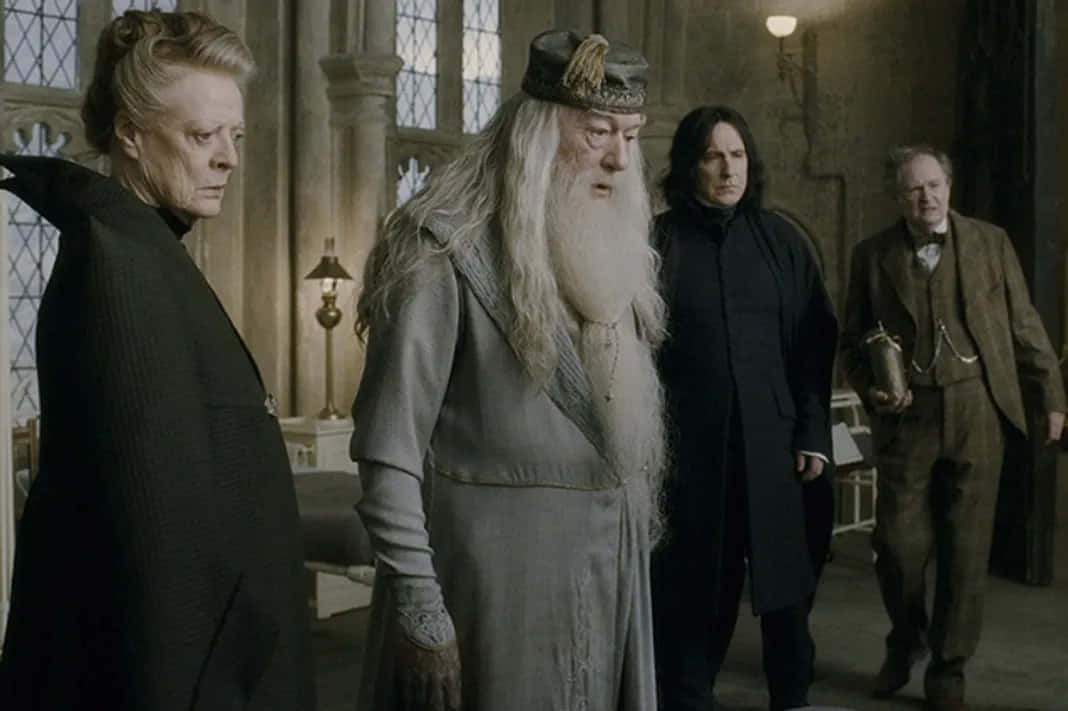 The Hogwarts Professors, Hogwarts, ornate robes, SD Desktop Wallpaper