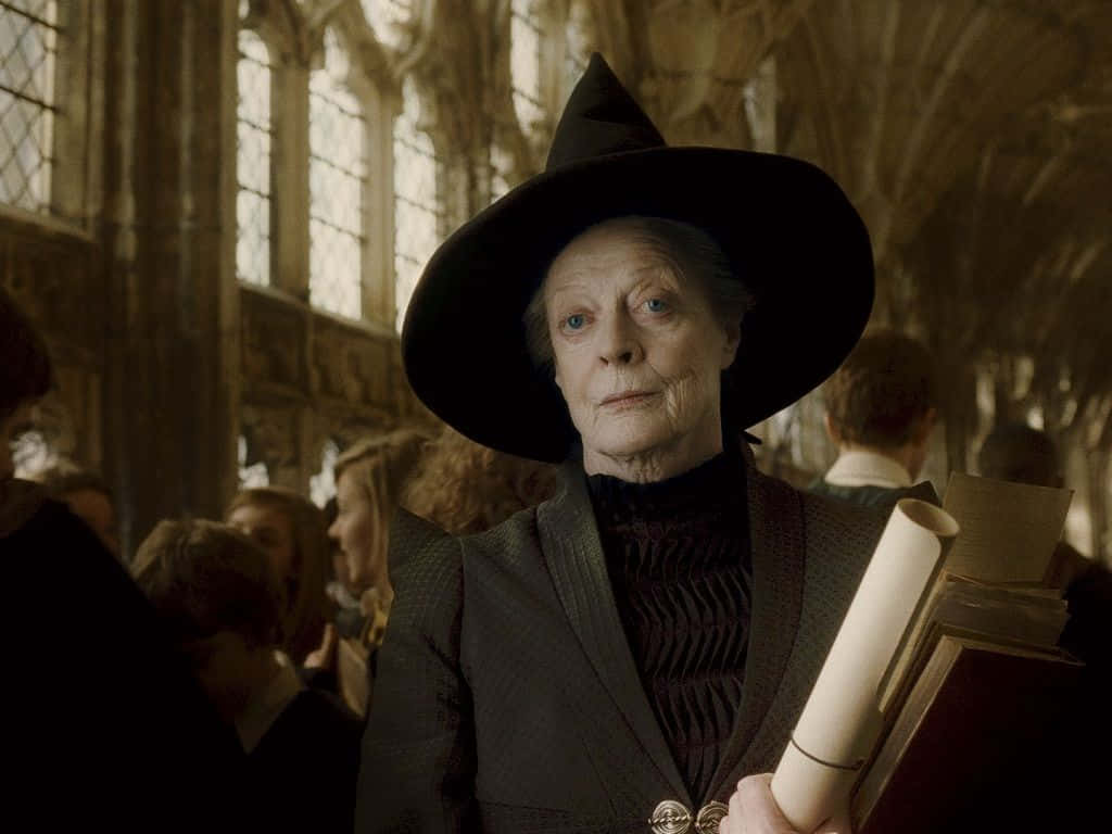 The Hogwarts Professors, black pointed hat, grand stone hall, SD Desktop Wallpaper