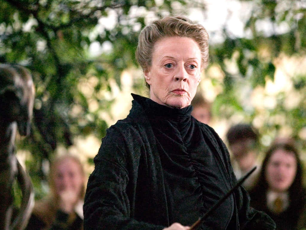 The Hogwarts Professors, black robe, wand, SD Desktop Wallpaper