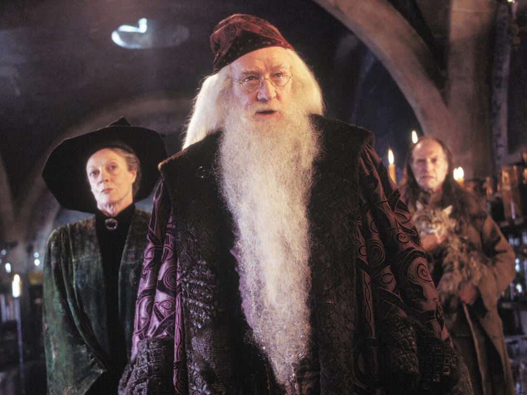 The Hogwarts Professors, ancient wizard, long white beard, SD Desktop Wallpaper